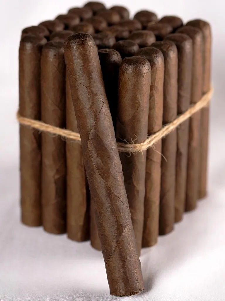 Churchill Oscuro bundle with a single cigar resting against it