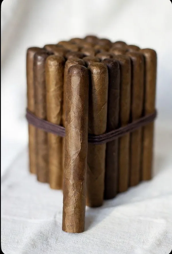 Churchill Sumatra bundle of 25 with a single cigar resting against it